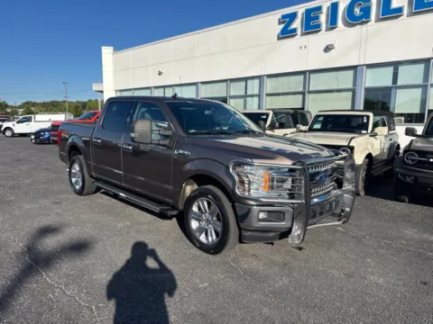 Another view of 2019 Ford F-150 XLT for sale in Lowell, MI at Zeigler Ford of Lowell