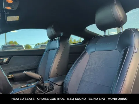 Another view of 2019 Ford Mustang Shelby GT350 for sale in Lowell, MI at Zeigler Ford of Lowell