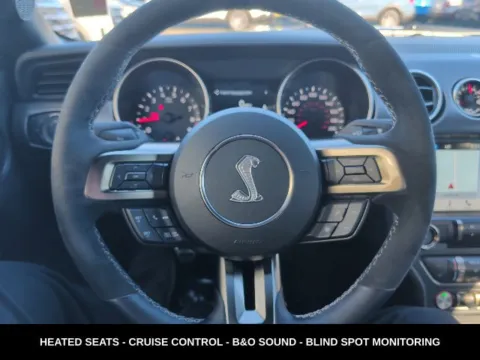 More photos of 2019 Ford Mustang Shelby GT350 at Zeigler Ford of Lowell, MI