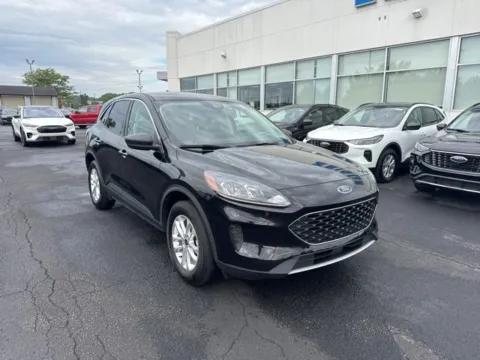 More photos of 2022 Ford Escape SE at Zeigler Ford of Lowell, MI