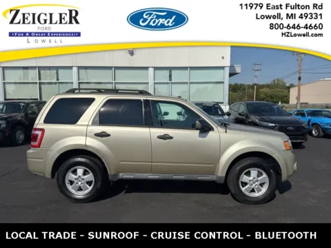 Black 2010 Ford Escape XLT for sale in Lowell, MI