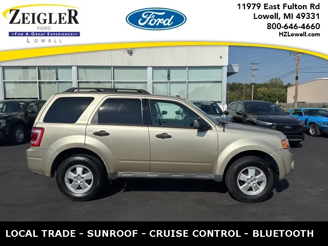 Gold 2010 Ford Escape XLT for sale in Lowell, MI