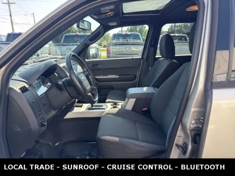 Another view of 2010 Ford Escape XLT for sale in Lowell, MI at Zeigler Ford of Lowell
