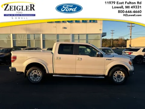 Black 2010 Ford F-150 for sale in Lowell, MI