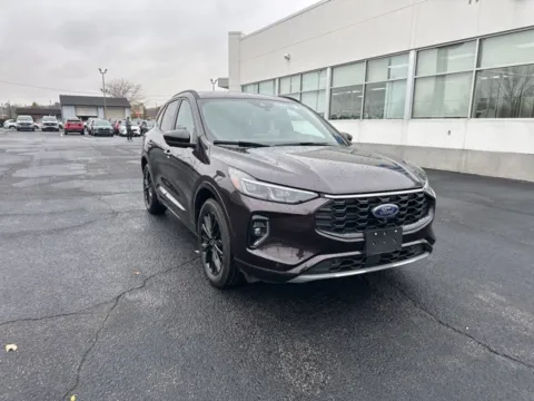 More photos of 2023 Ford Escape Hybrid ST-Line Elite at Zeigler Ford of Lowell, MI