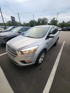 Silver 2019 Ford Escape SE for sale in Holland, MI