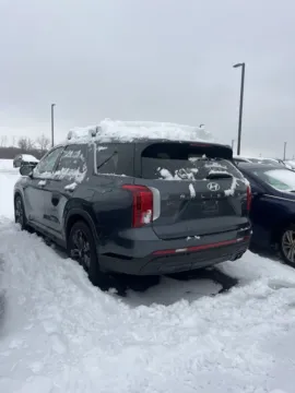 Another view of 2025 Hyundai Palisade XRT for sale in Holland, MI at Zeigler Hyundai of Holland