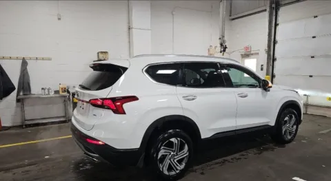 More photos of 2023 Hyundai Santa Fe SEL at Zeigler Hyundai of Holland, MI