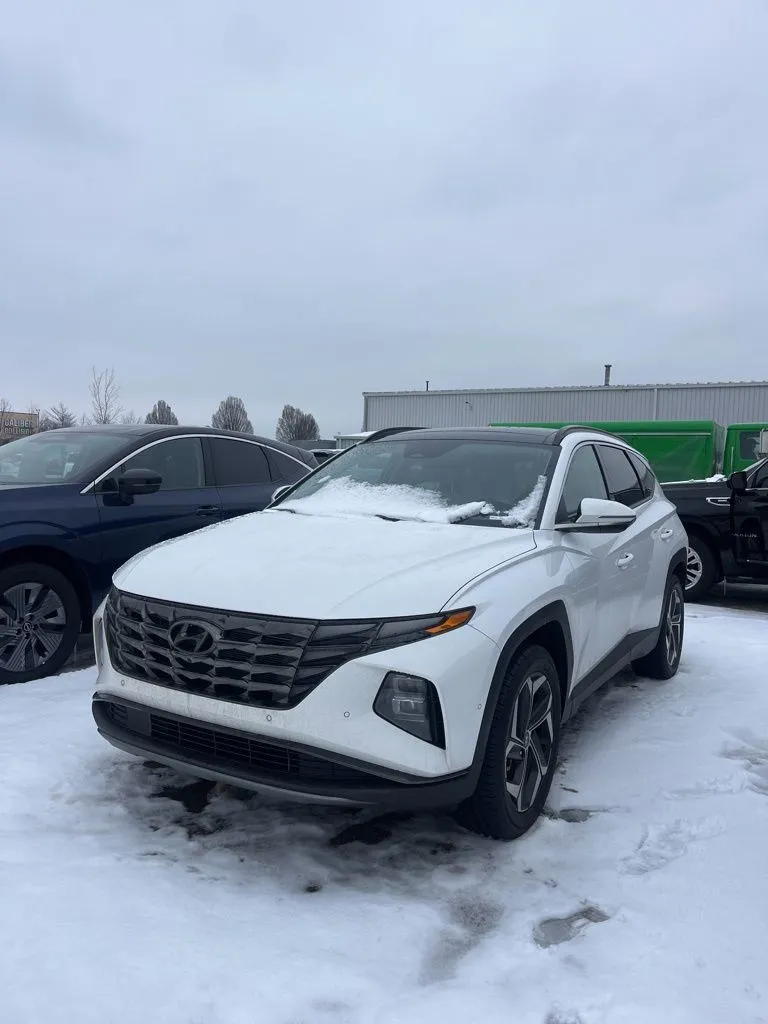 White 2023 Hyundai Tucson Limited for sale in Holland, MI