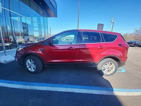 More photos of 2019 Ford Escape SE at Zeigler Hyundai of Holland, MI
