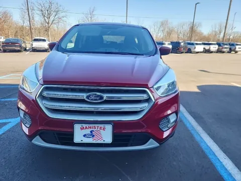 Red 2019 Ford Escape SE for sale in Holland, MI
