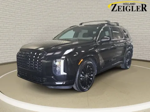 Black 2025 Hyundai Palisade Calligraphy Night Edition for sale in Holland, MI