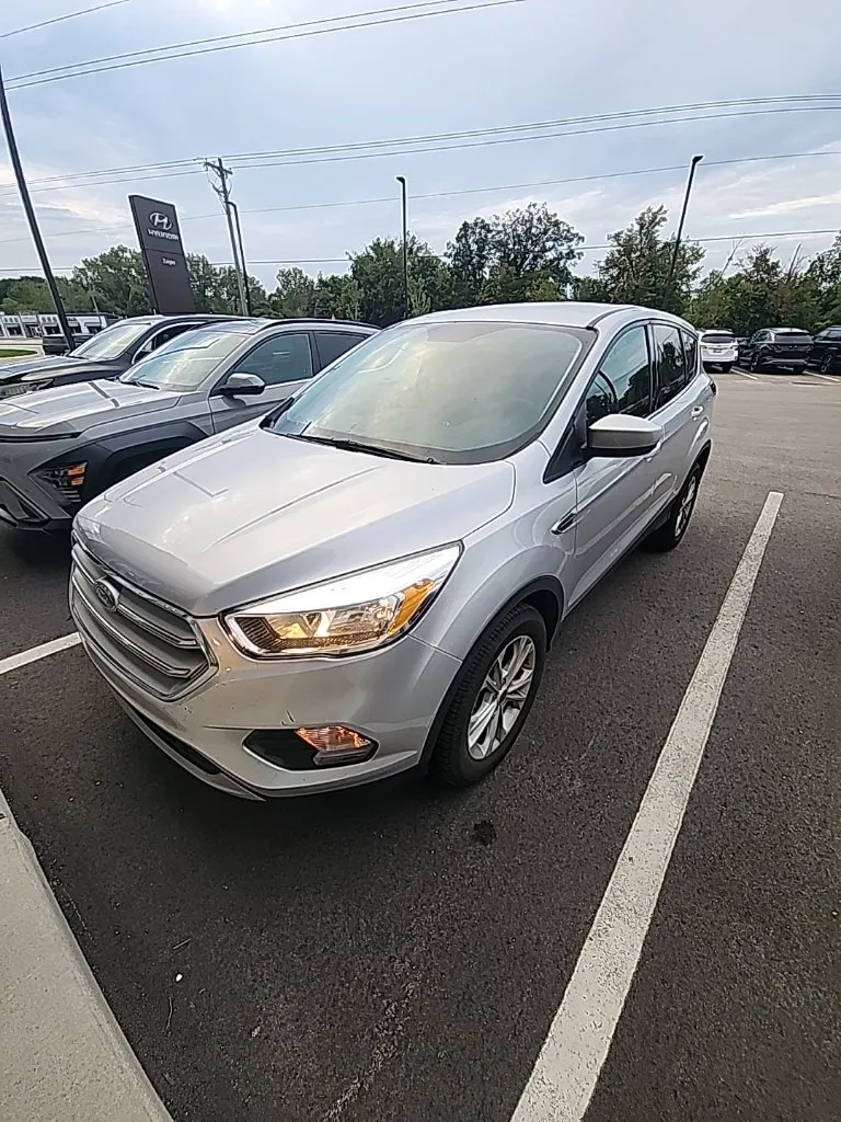 Silver 2019 Ford Escape SE for sale in Holland, MI