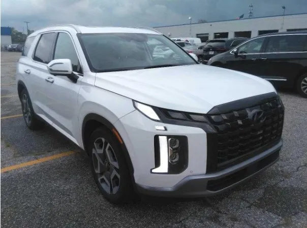 White 2024 Hyundai Palisade Limited for sale in Holland, MI