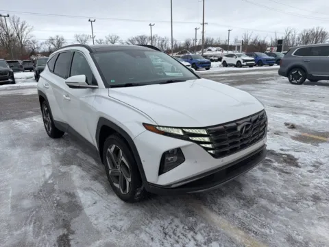 White 2023 Hyundai Tucson Limited for sale in Holland, MI