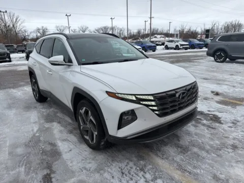 White 2023 Hyundai Tucson Limited for sale in Holland, MI