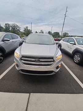 Another view of 2019 Ford Escape SE for sale in Holland, MI at Zeigler Kia of Holland