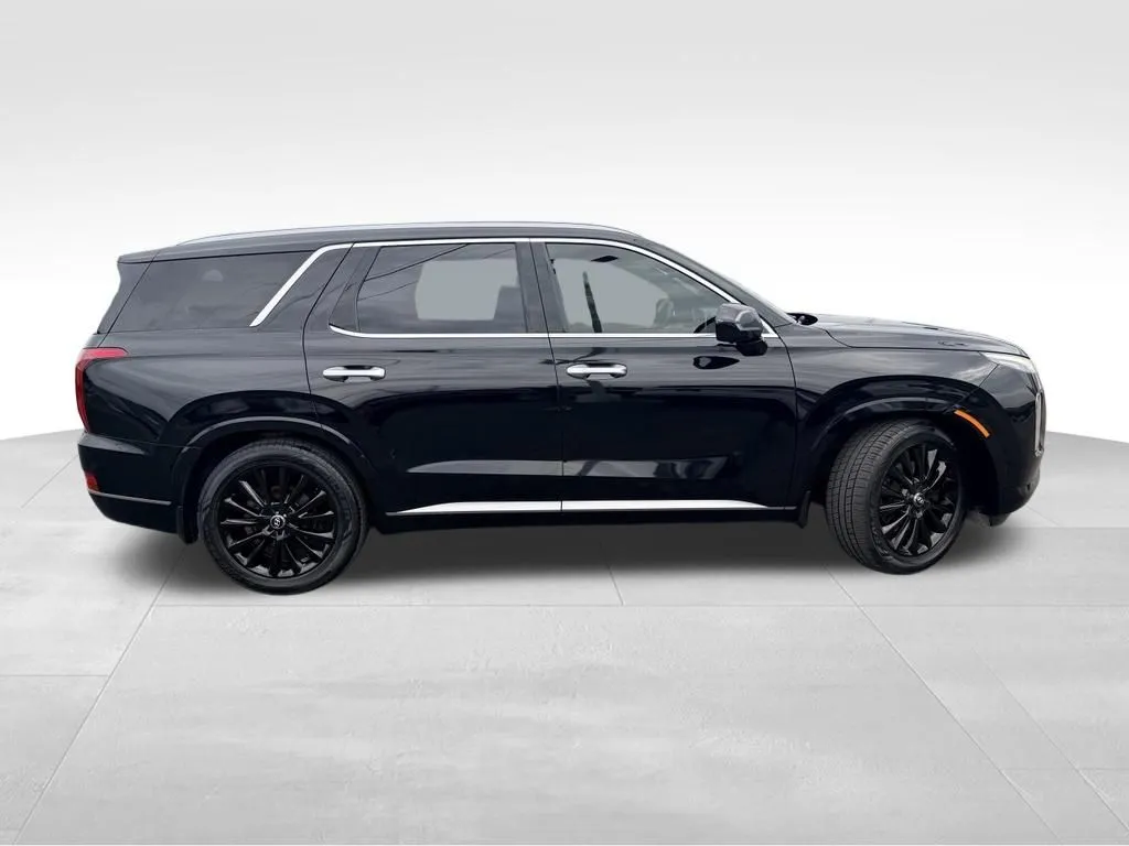 Hyundai Palisade photo 33