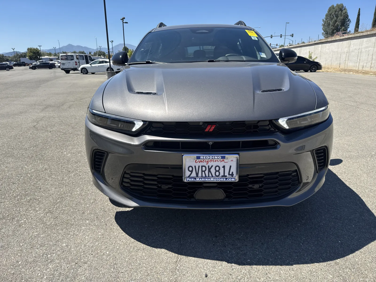 Dodge Hornet photo 2
