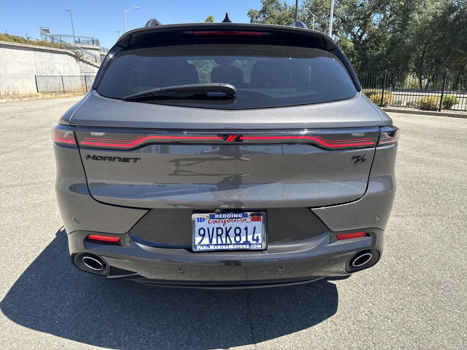 Dodge Hornet photo 6