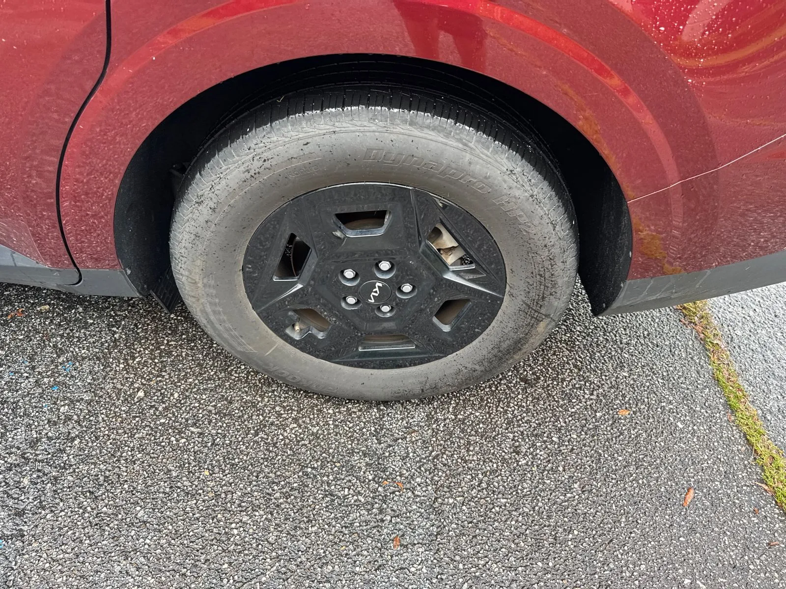 Photo 18