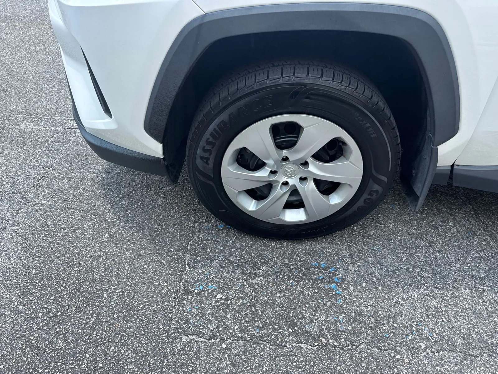 2019 Toyota RAV4 LE - Photo 11