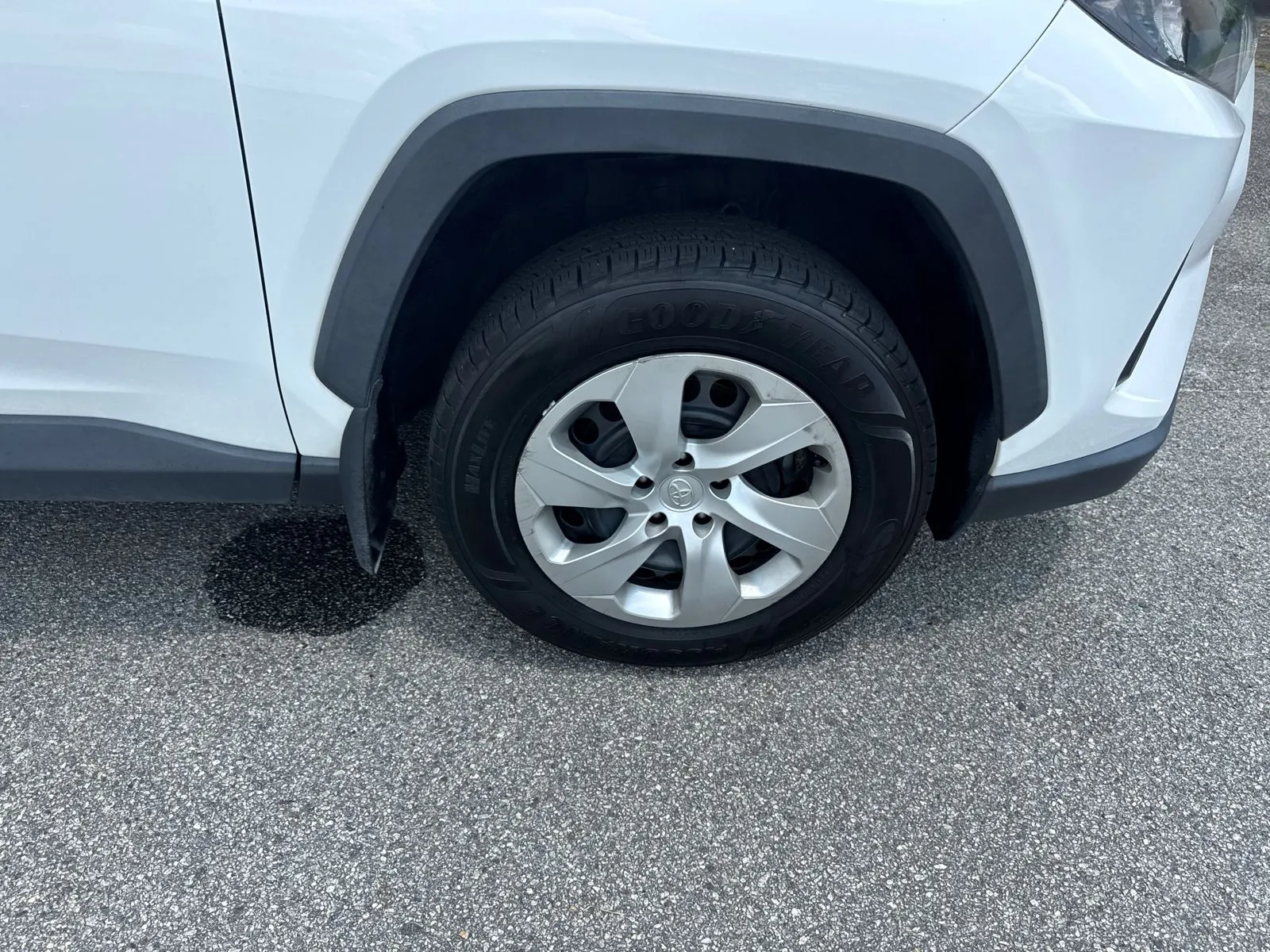 2019 Toyota RAV4 LE - Photo 12