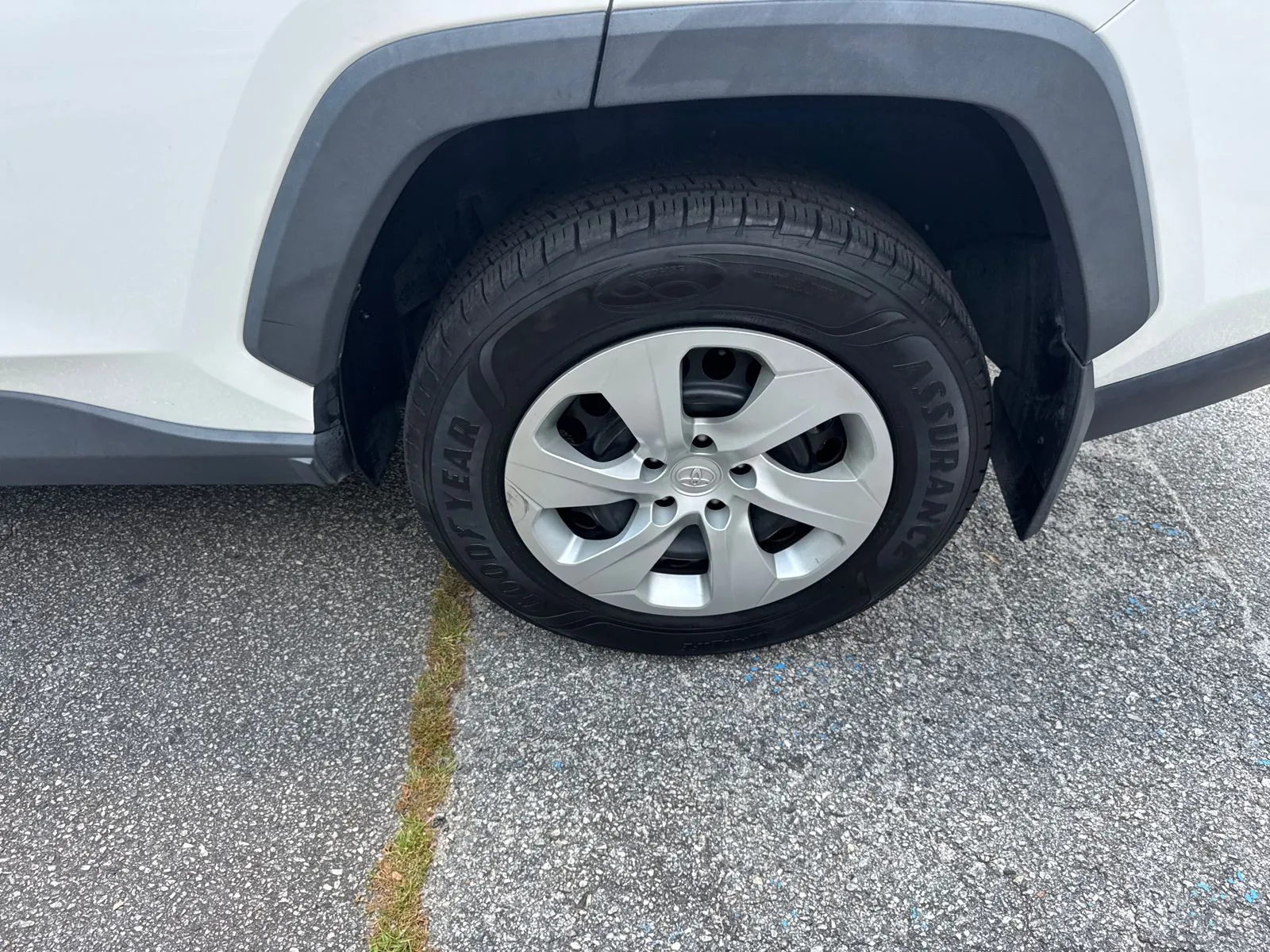 2019 Toyota RAV4 LE - Photo 19