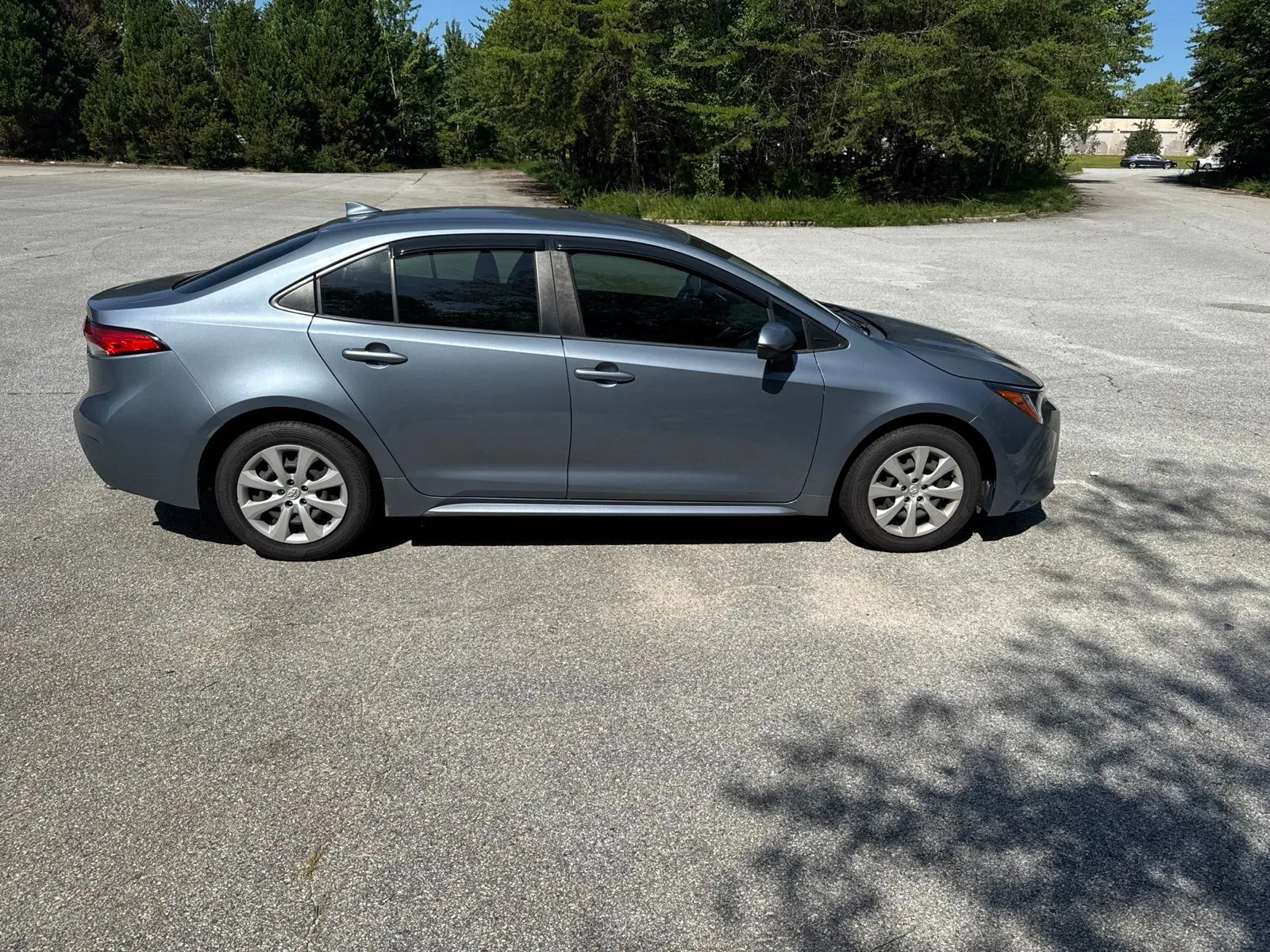 Photo 5