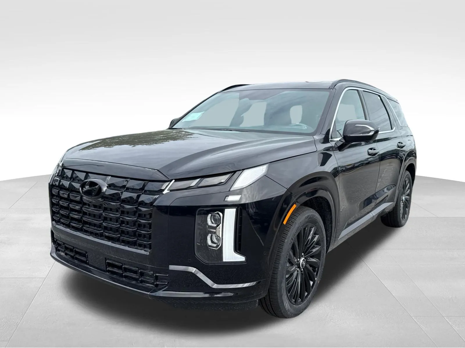 Black 2025 Hyundai Palisade Calligraphy Night Edition for sale in Lithia Springs, GA