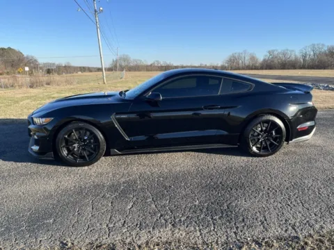 Photos of 2017 Ford Mustang Shelby GT350 for sale in Martin, TN at Taylor Automotive