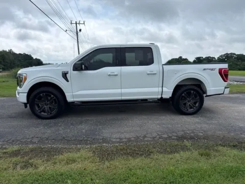 Photos of 2023 Ford F-150 XLT for sale in Martin, TN at Taylor Automotive