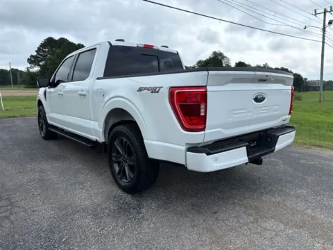 More photos of 2023 Ford F-150 XLT at Taylor Automotive, TN