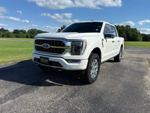 White 2021 Ford F-150 Platinum for sale in Martin, TN