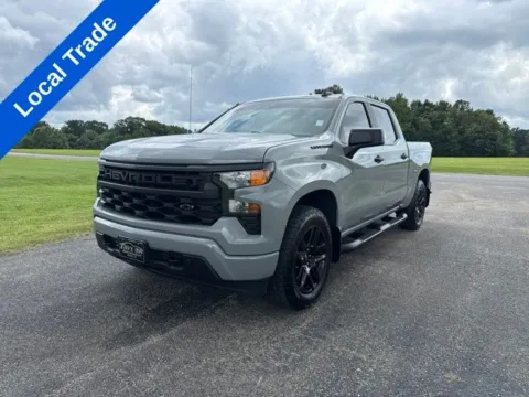 Gray 2024 Chevrolet Silverado 1500 Custom for sale in Martin, TN