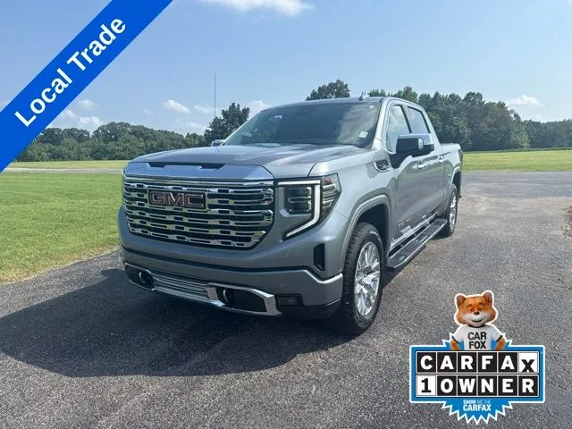 Gray 2024 GMC Sierra 1500 Denali for sale in Martin, TN