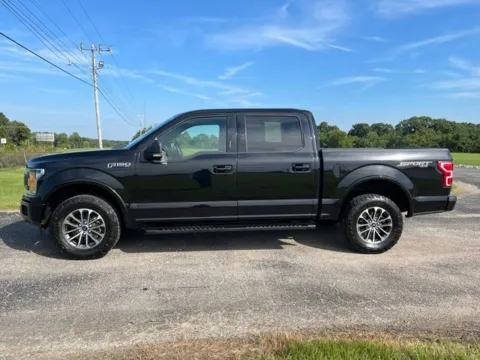 Photos of 2019 Ford F-150 XLT for sale in Martin, TN at Taylor Automotive