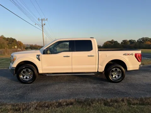 Photos of 2023 Ford F-150 XLT for sale in Martin, TN at Taylor Automotive
