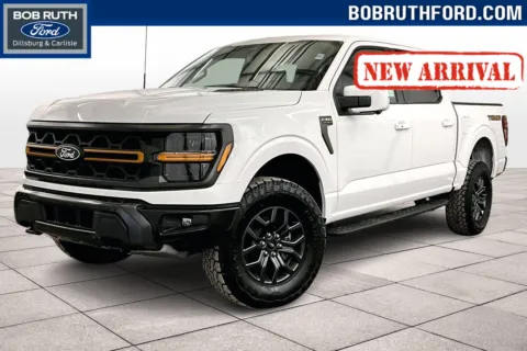 White 2025 Ford F-150 Tremor for sale in Dillsburg, PA