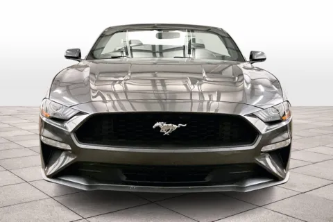 Another view of 2019 Ford Mustang EcoBoost for sale in Dillsburg, PA at Bob Ruth Ford Dillsburg