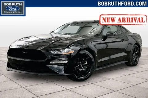 Black 2019 Ford Mustang EcoBoost for sale in Dillsburg, PA