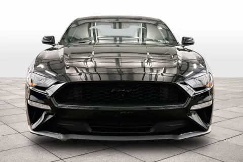Another view of 2019 Ford Mustang EcoBoost for sale in Dillsburg, PA at Bob Ruth Ford Dillsburg
