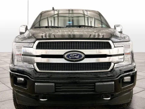 Another view of 2019 Ford F-150 Platinum for sale in Dillsburg, PA at Bob Ruth Ford Dillsburg