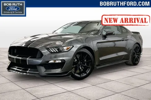 Gray 2017 Ford Mustang Shelby GT350 for sale in Dillsburg, PA