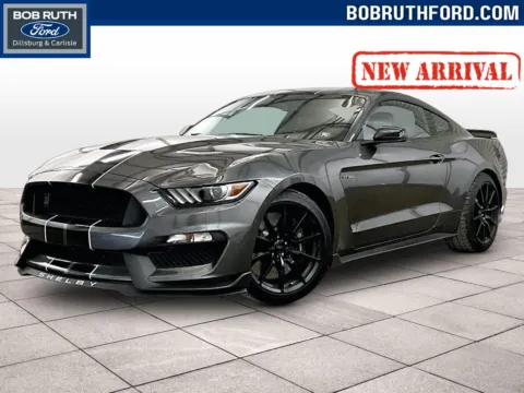 Gray 2017 Ford Mustang Shelby GT350 for sale in Dillsburg, PA
