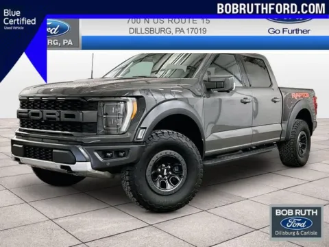 Gray 2021 Ford F-150 Raptor for sale in Dillsburg, PA
