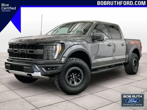 Gray 2021 Ford F-150 Raptor for sale in Dillsburg, PA
