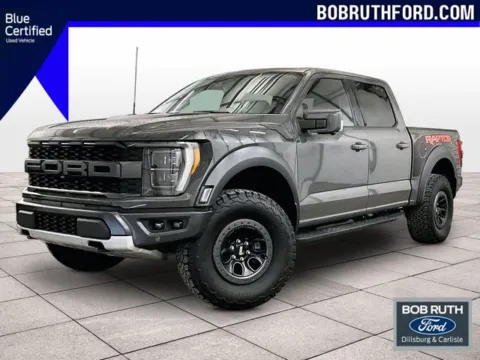 Gray 2021 Ford F-150 Raptor for sale in Dillsburg, PA