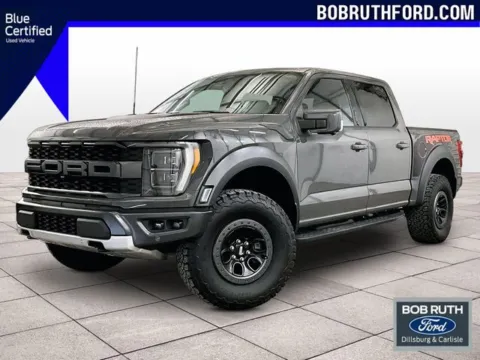 Gray 2021 Ford F-150 Raptor for sale in Dillsburg, PA