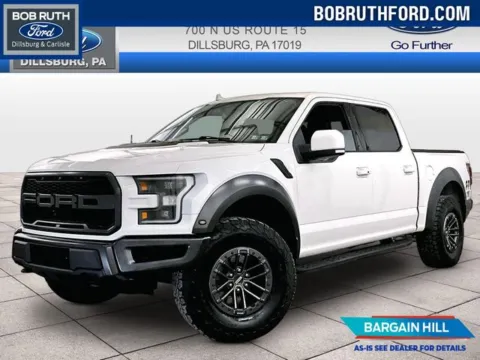 White 2019 Ford F-150 Raptor for sale in Dillsburg, PA